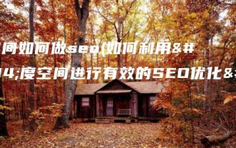 百度空间如何做seo(如何利用百度空间进行有效的SEO优化？)