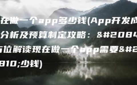 现在做一个app多少钱(App开发成本分析及预算制定攻略：全方位解读现在做一个app需要多少钱)