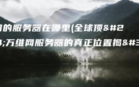 万维网的服务器在哪里(全球顶尖万维网服务器的真正位置揭秘)