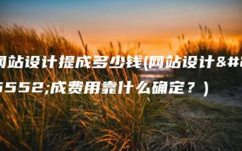 网站设计提成多少钱(网站设计提成费用靠什么确定？)