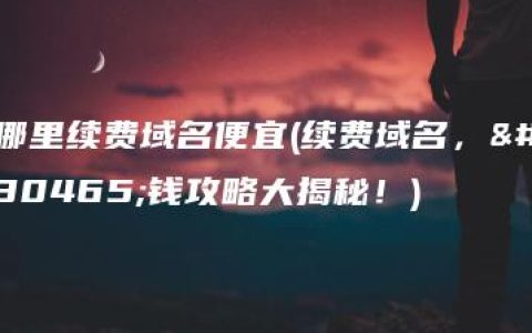 哪里续费域名便宜(续费域名，省钱攻略大揭秘！)