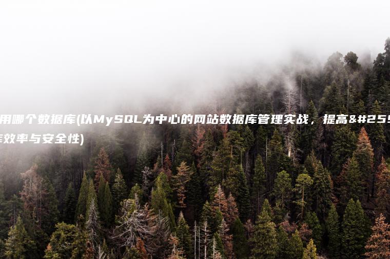 网站用哪个数据库(以MySQL为中心的网站数据库管理实战，提高数据库效率与安全性)