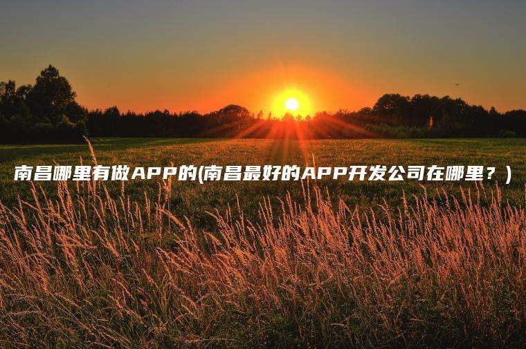 南昌哪里有做APP的(南昌最好的APP开发公司在哪里？)