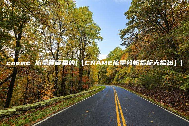 cname 流量算哪里的(【CNAME流量分析指标大揭秘】)