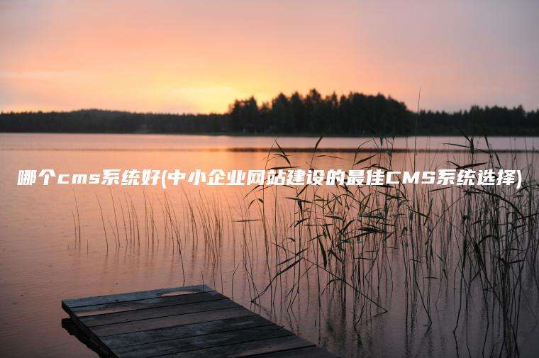 哪个cms系统好(中小企业网站建设的最佳CMS系统选择)