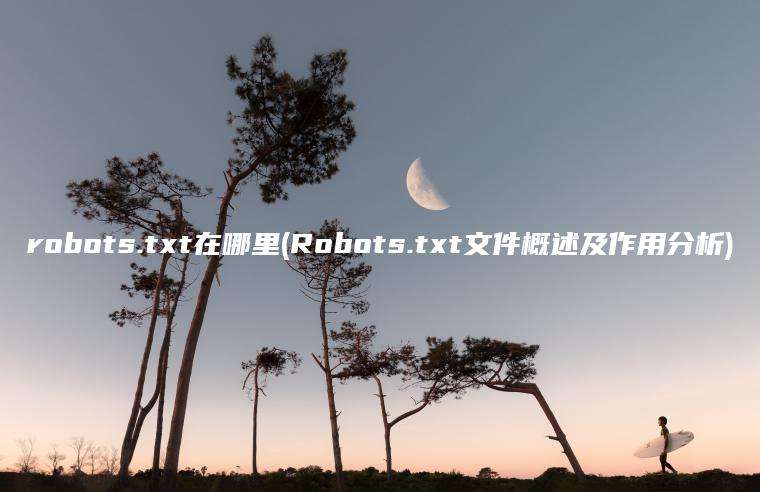 robots.txt在哪里(Robots.txt文件概述及作用分析)