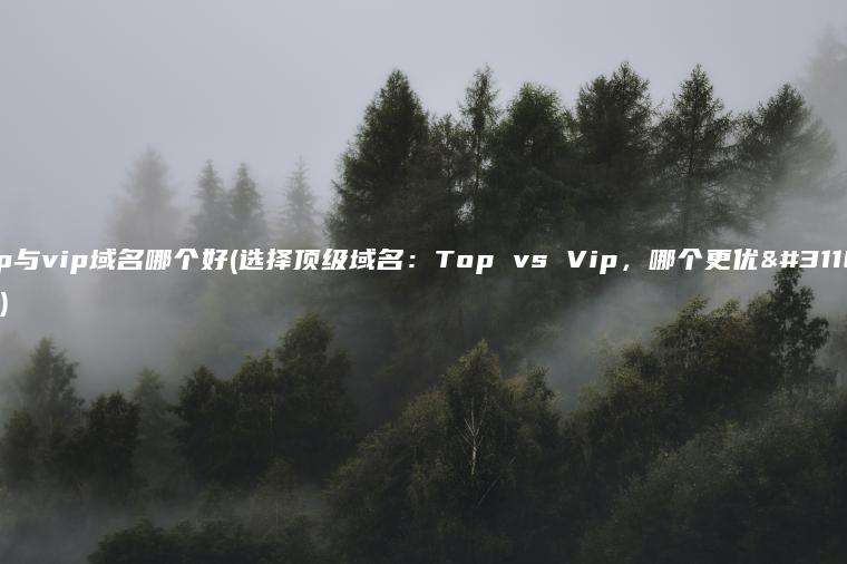 top与vip域名哪个好(选择顶级域名：Top vs Vip，哪个更优秀？)