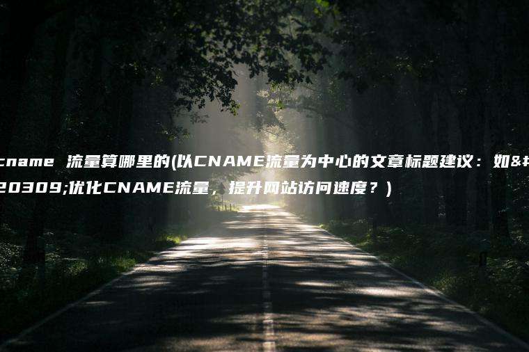 cname 流量算哪里的(以CNAME流量为中心的文章标题建议：如何优化CNAME流量，提升网站访问速度？)