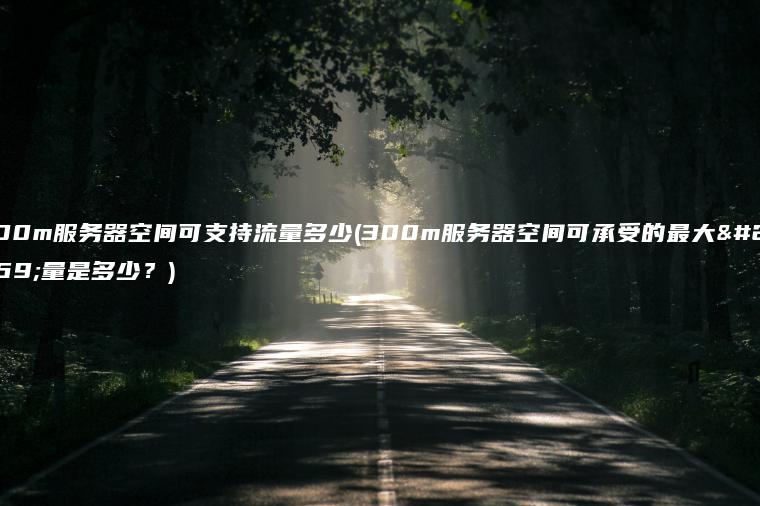 300m服务器空间可支持流量多少(300m服务器空间可承受的最大流量是多少？)