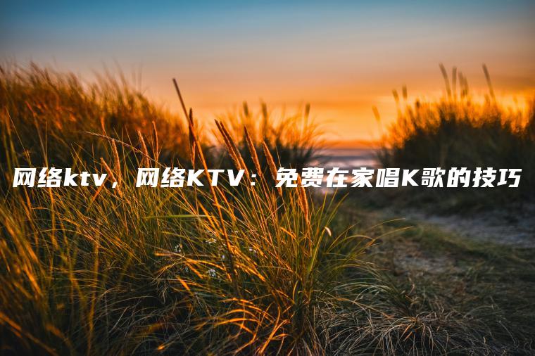 网络ktv，网络KTV：免费在家唱K歌的技巧