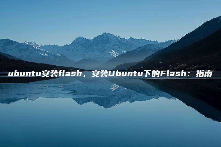 ubuntu安装flash，安装Ubuntu下的Flash：指南