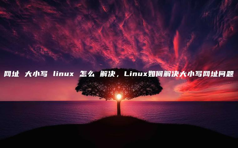 网址 大小写 linux 怎么 解决，Linux如何解决大小写网址问题