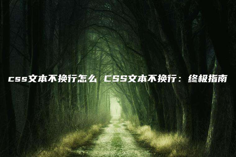 css文本不换行怎么 CSS文本不换行：终极指南