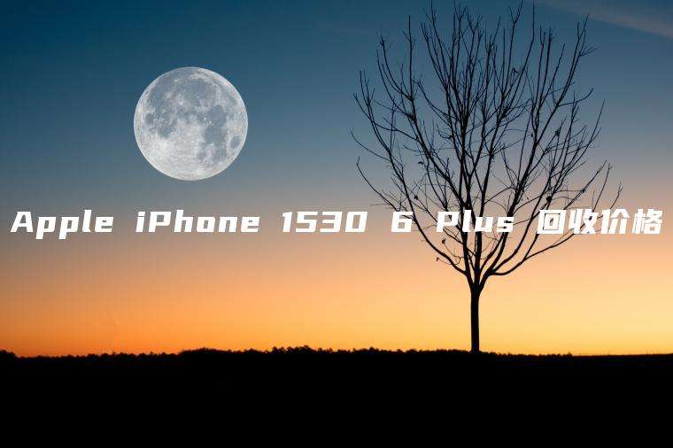 Apple iPhone 1530 6 Plus 回收价格