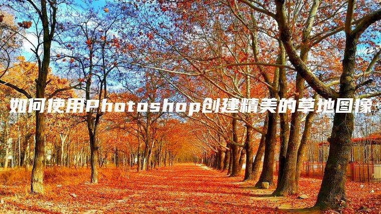 如何使用Photoshop创建精美的草地图像