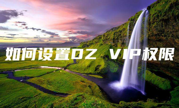 如何设置DZ VIP权限