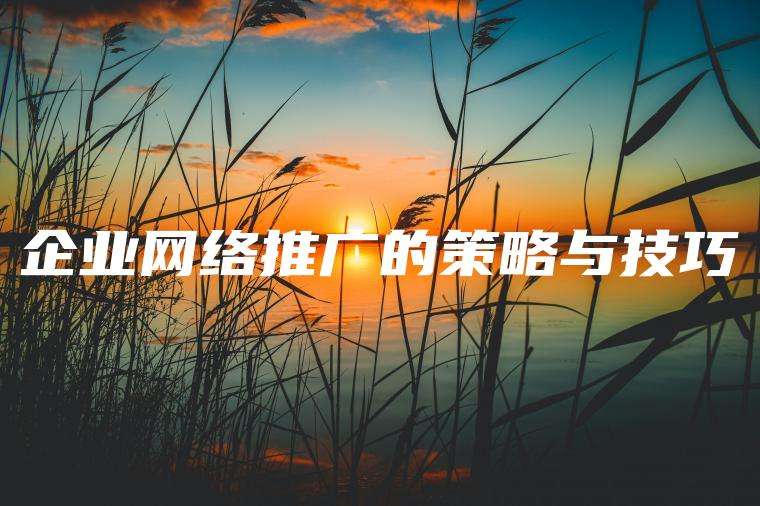 企业网络推广的策略与技巧