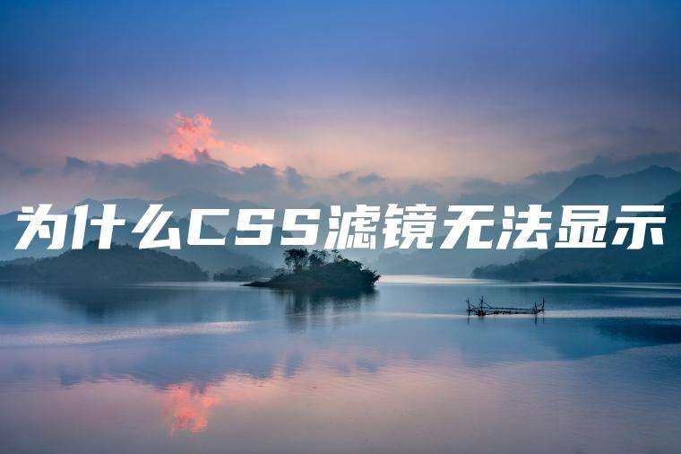 为什么CSS滤镜无法显示