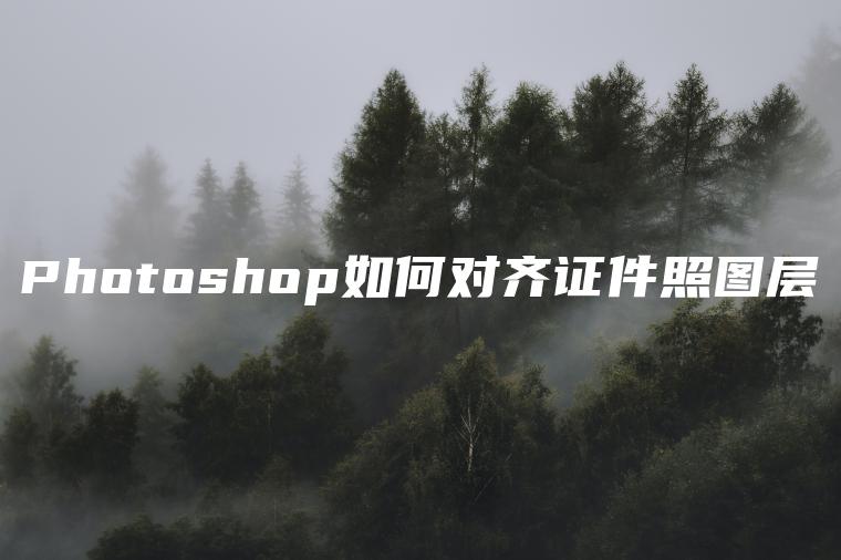 Photoshop如何对齐证件照图层