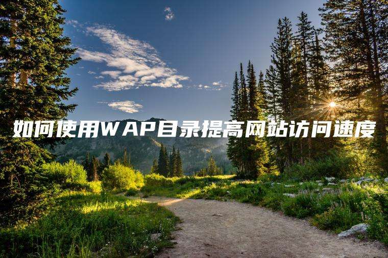 如何使用WAP目录提高网站访问速度