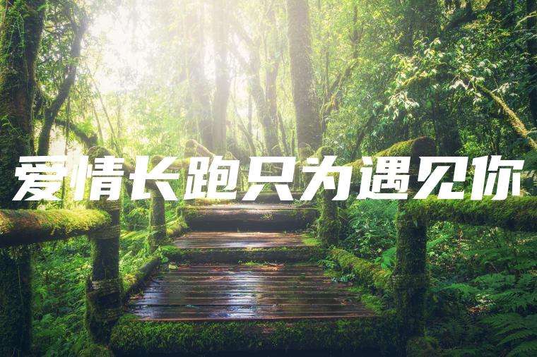 爱情长跑只为遇见你