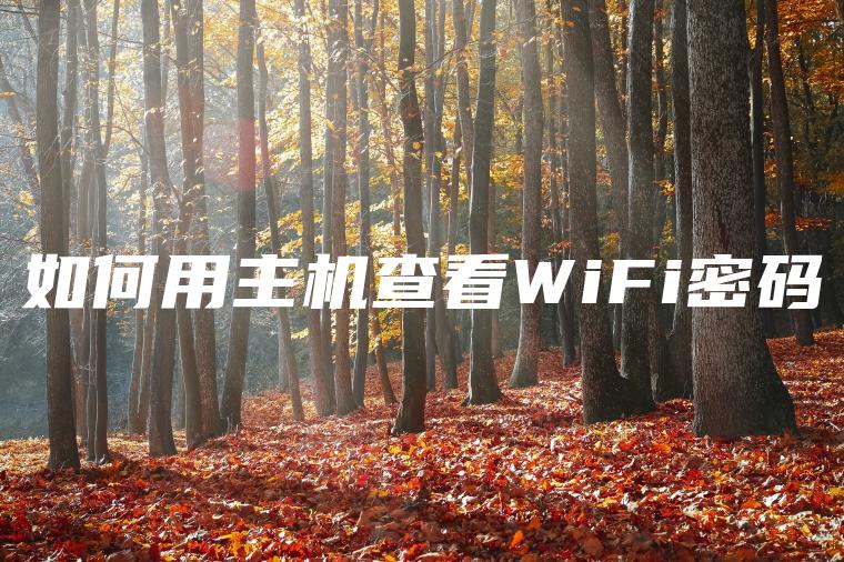 如何用主机查看WiFi密码