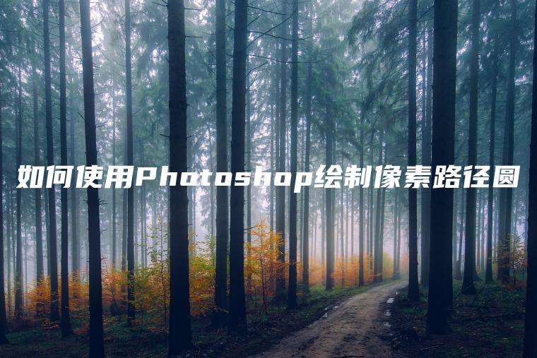 如何使用Photoshop绘制像素路径圆