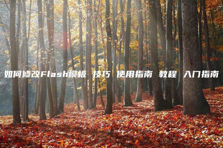 如何修改Flash模板 技巧 使用指南 教程 入门指南