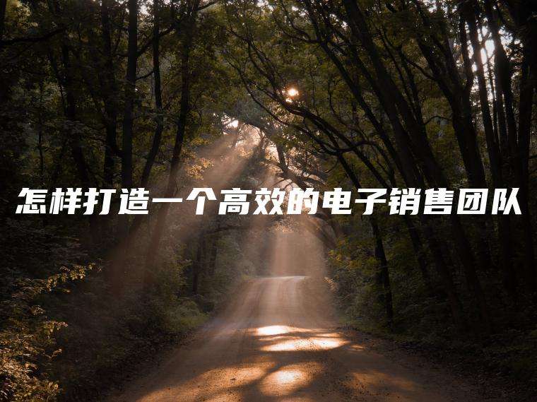 怎样打造一个高效的电子销售团队