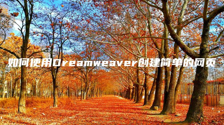 如何使用Dreamweaver创建简单的网页