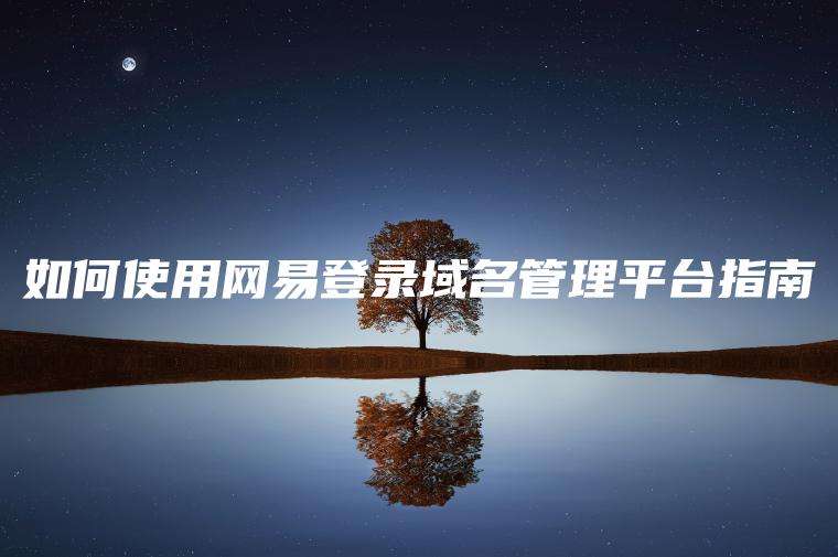 如何使用网易登录域名管理平台指南