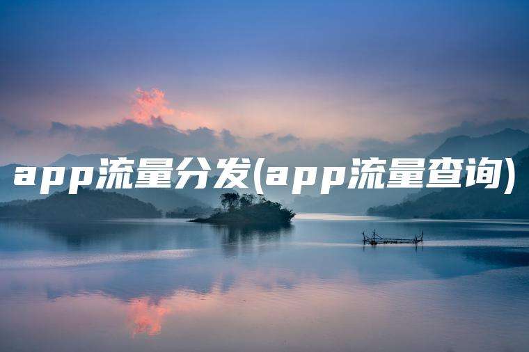 app流量分发(app流量查询)