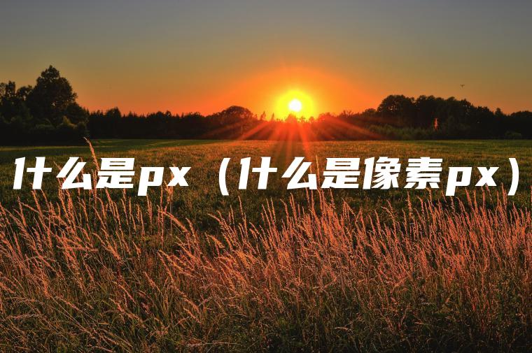 什么是px（什么是像素px）