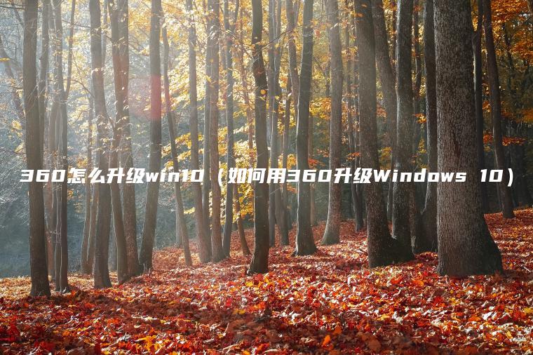 360怎么升级win10（如何用360升级Windows 10）