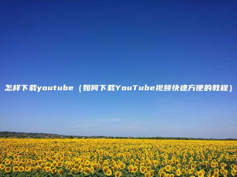 怎样下载youtube（如何下载YouTube视频快速方便的教程）