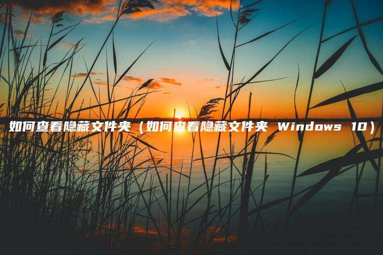 如何查看隐藏文件夹（如何查看隐藏文件夹 Windows 10）