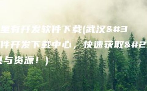 武汉哪里有开发软件下载(武汉软件开发下载中心，快速获取开发工具与资源！)