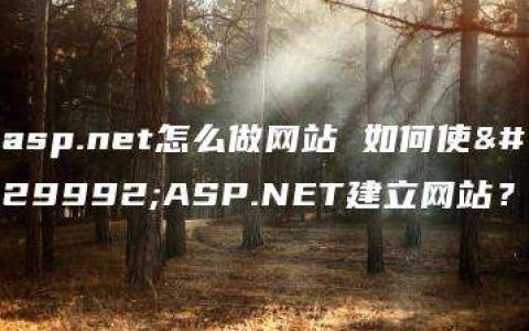 asp.net怎么做网站 如何使用ASP.NET建立网站？