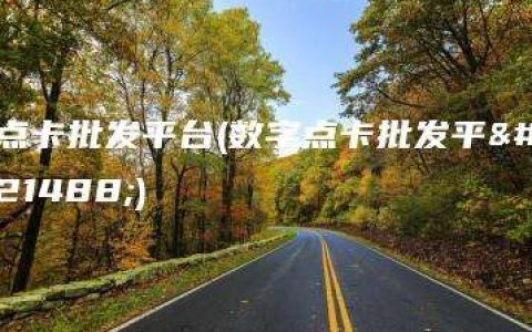 点卡批发平台(数字点卡批发平台)