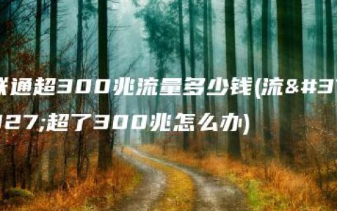 联通超300兆流量多少钱(流量超了300兆怎么办)