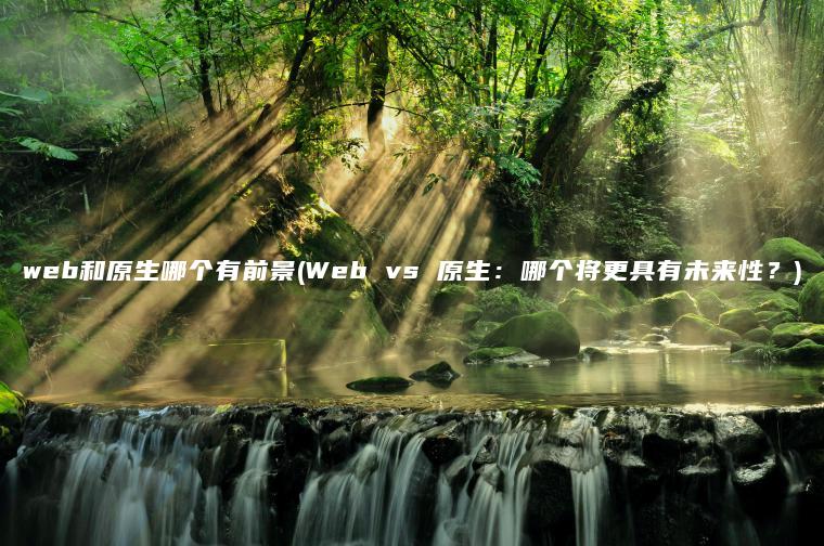 web和原生哪个有前景(Web vs 原生：哪个将更具有未来性？)